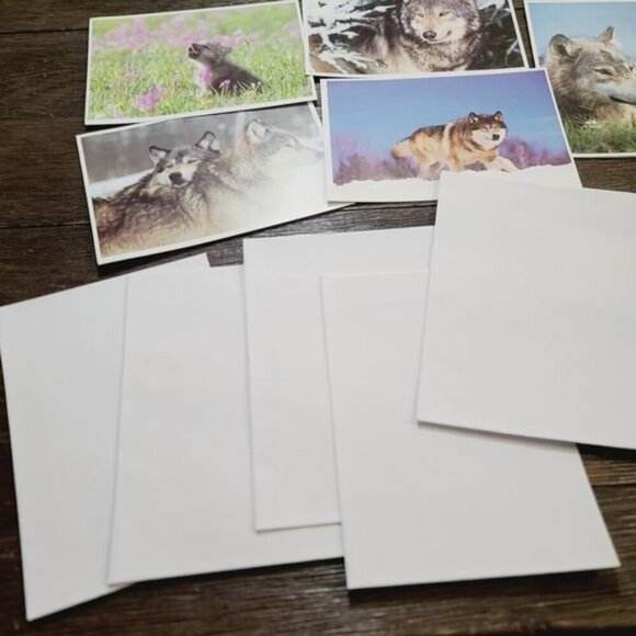 Defenders of Wildlife Gray Wolf Canis Lupus Blank Notecards - Picture 2 of 9